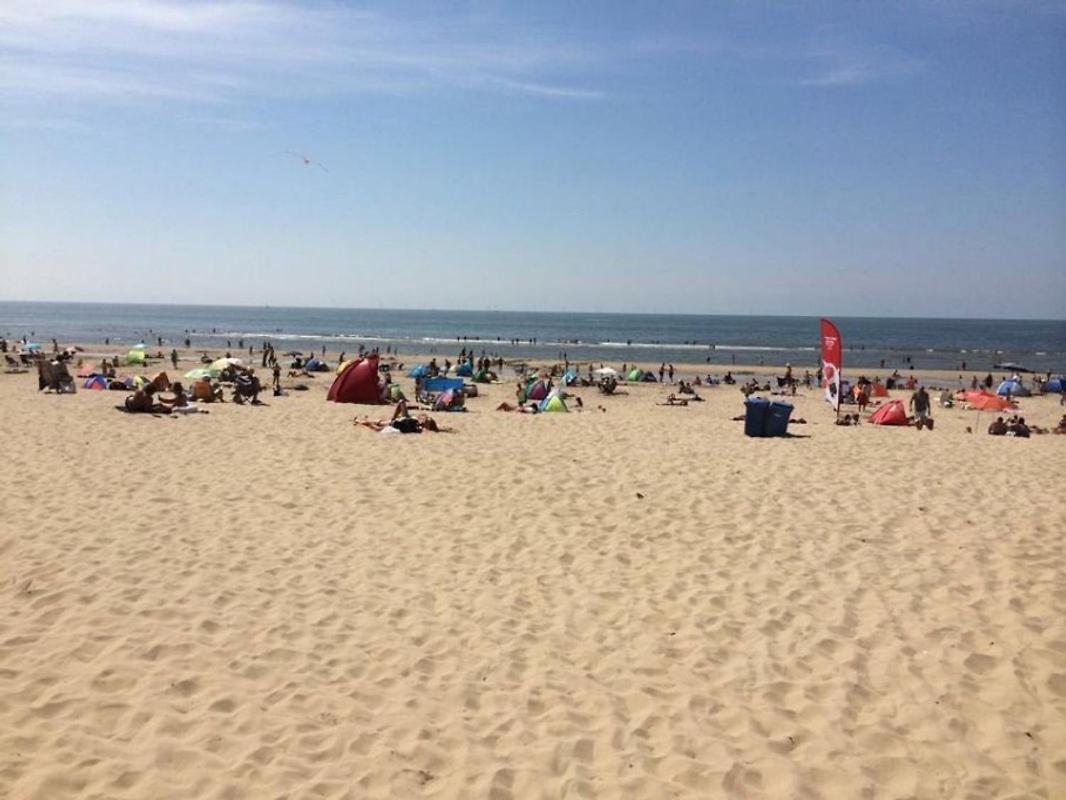 'T Heilige Pad Villa Egmond aan Zee Exteriör bild